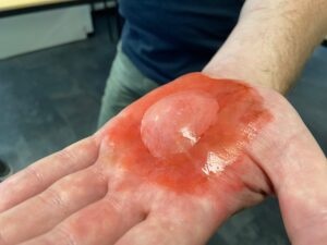 Lees meer over het artikel Bloggen. Wat is dat?